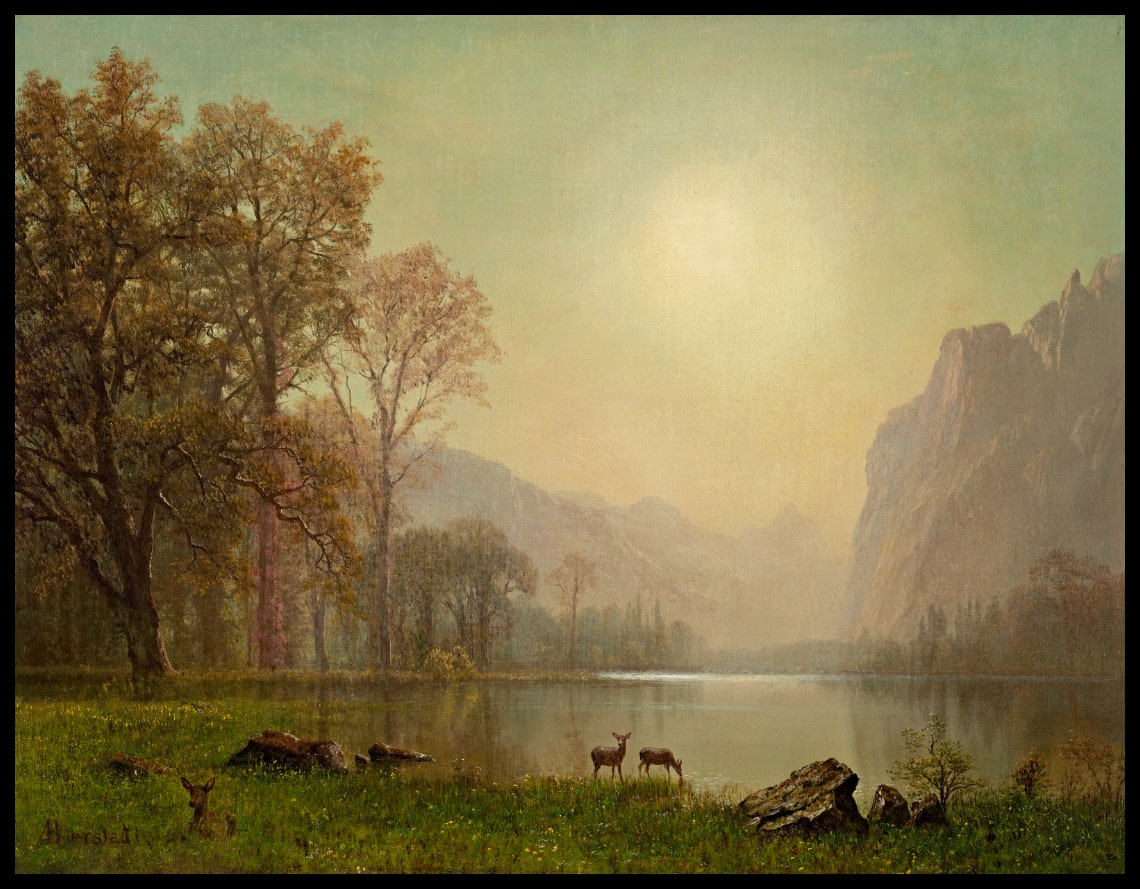 Dawn in the Rockies