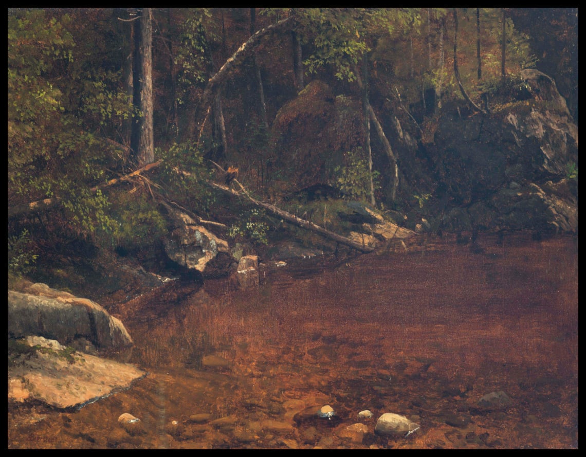 Forest Glade