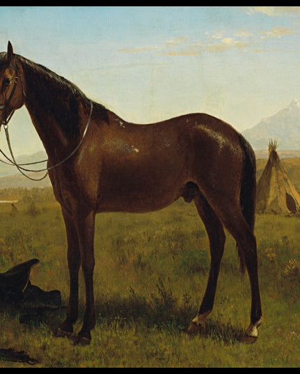 Horse in an Indian Encampment
