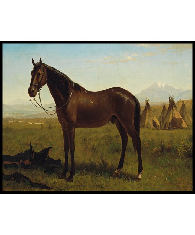 Horse in an Indian Encampment