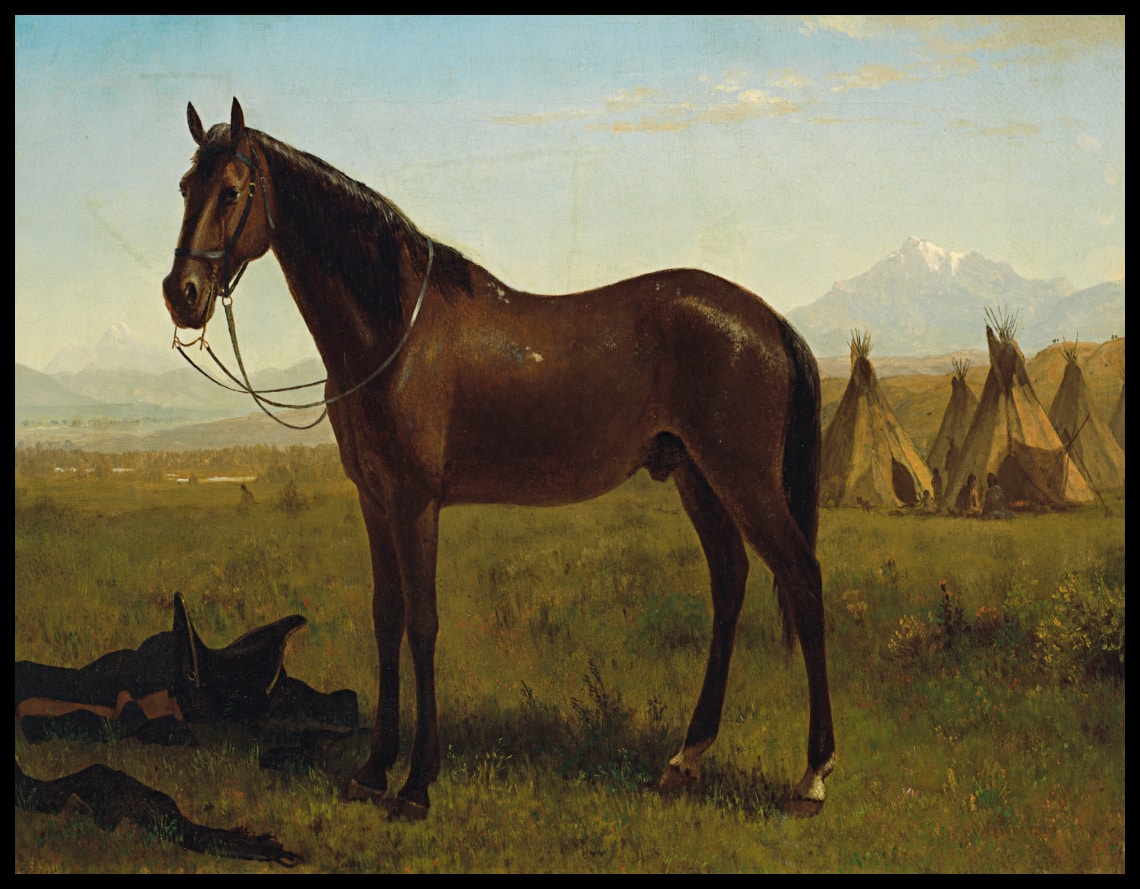 Cheval dans un campement indien