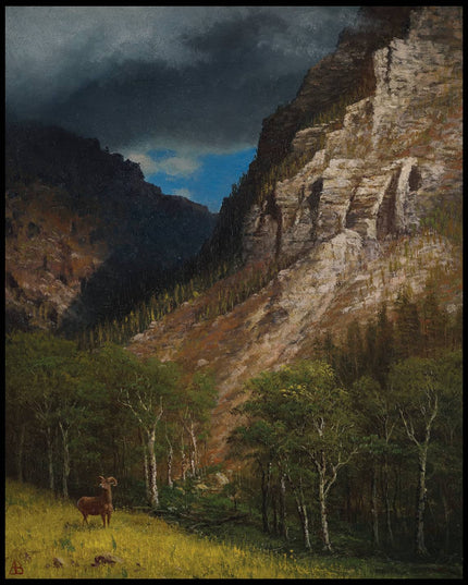 Pass into the Rockies