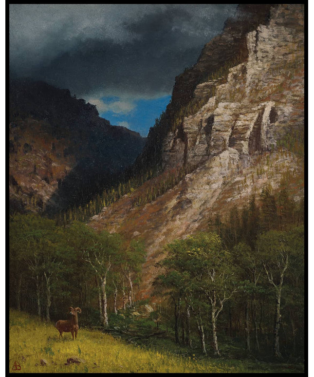 Pass into the Rockies