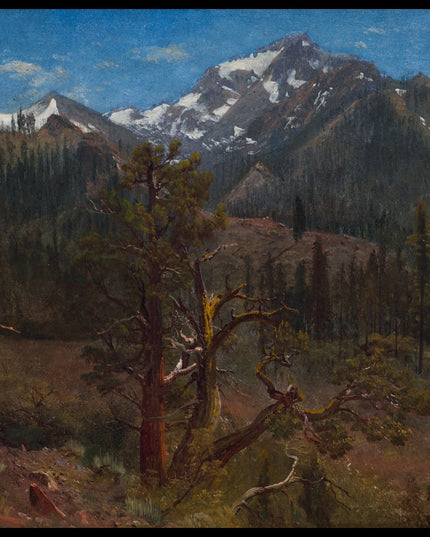 View Near Silver City, Sierra Nevada, California