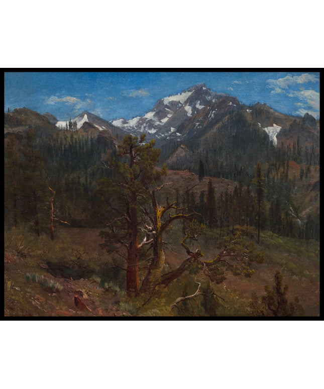 View Near Silver City, Sierra Nevada, California