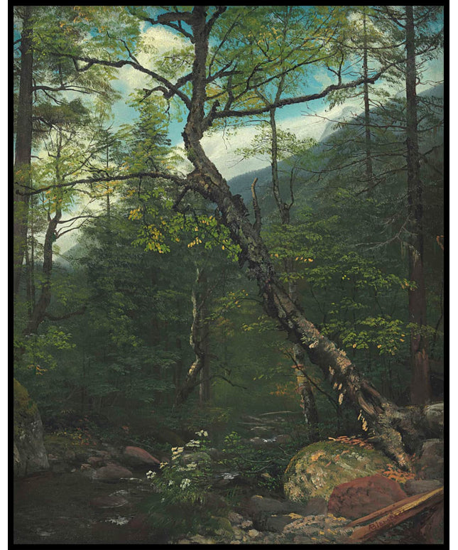 Woodland Interior, Catskills