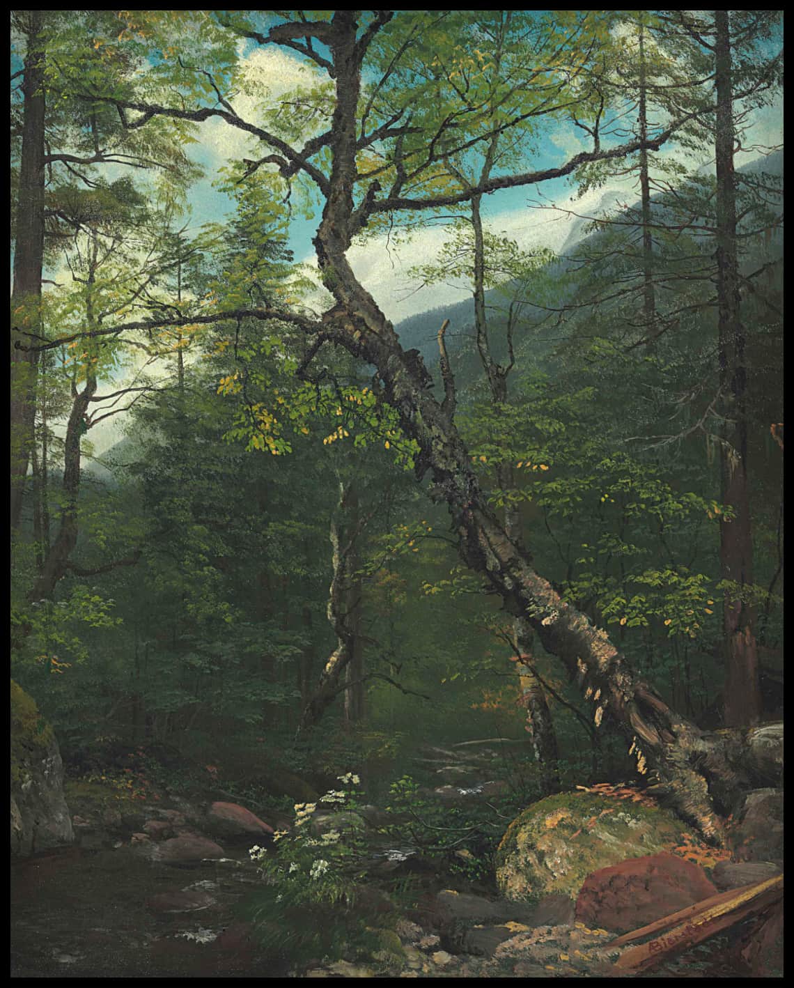 Intérieur de Woodland, Catskills