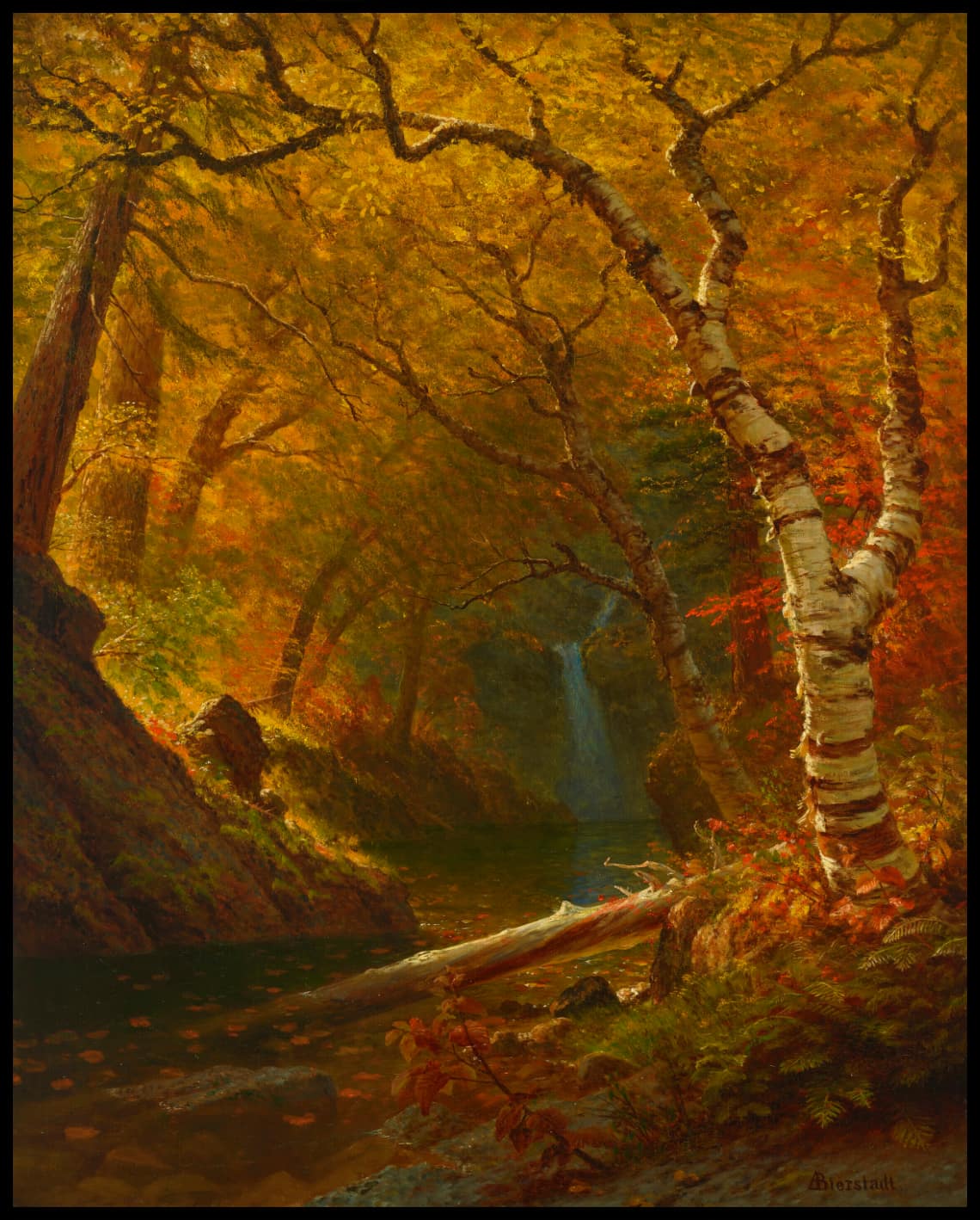 Piscine Woodland