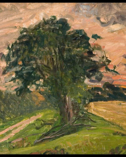 Evening landscape. Tisvilde