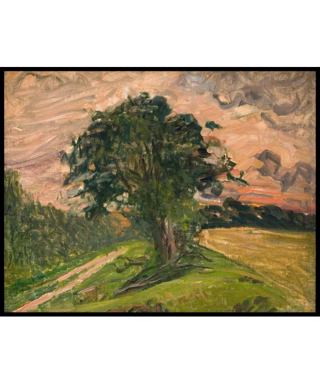 Evening landscape. Tisvilde