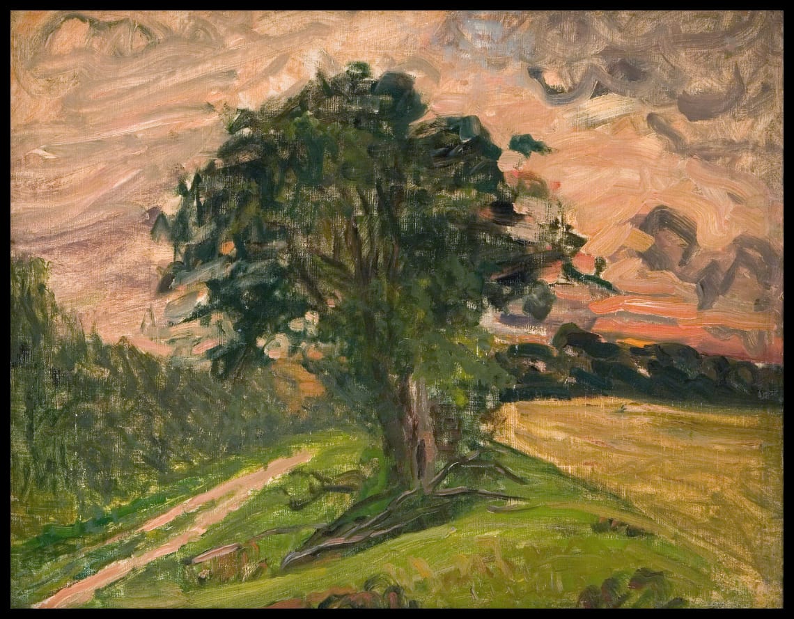 Evening landscape. Tisvilde
