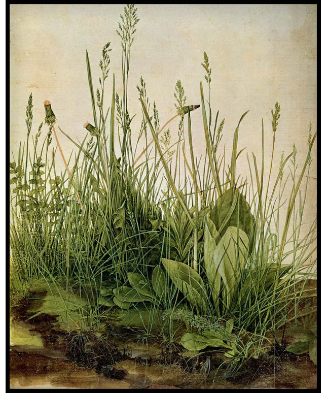 Das große Rasenstück