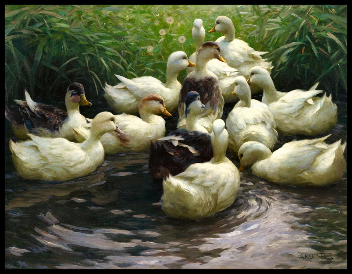 On the shore