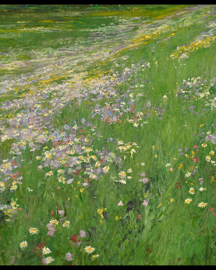 Blumenwiese bei Weßling