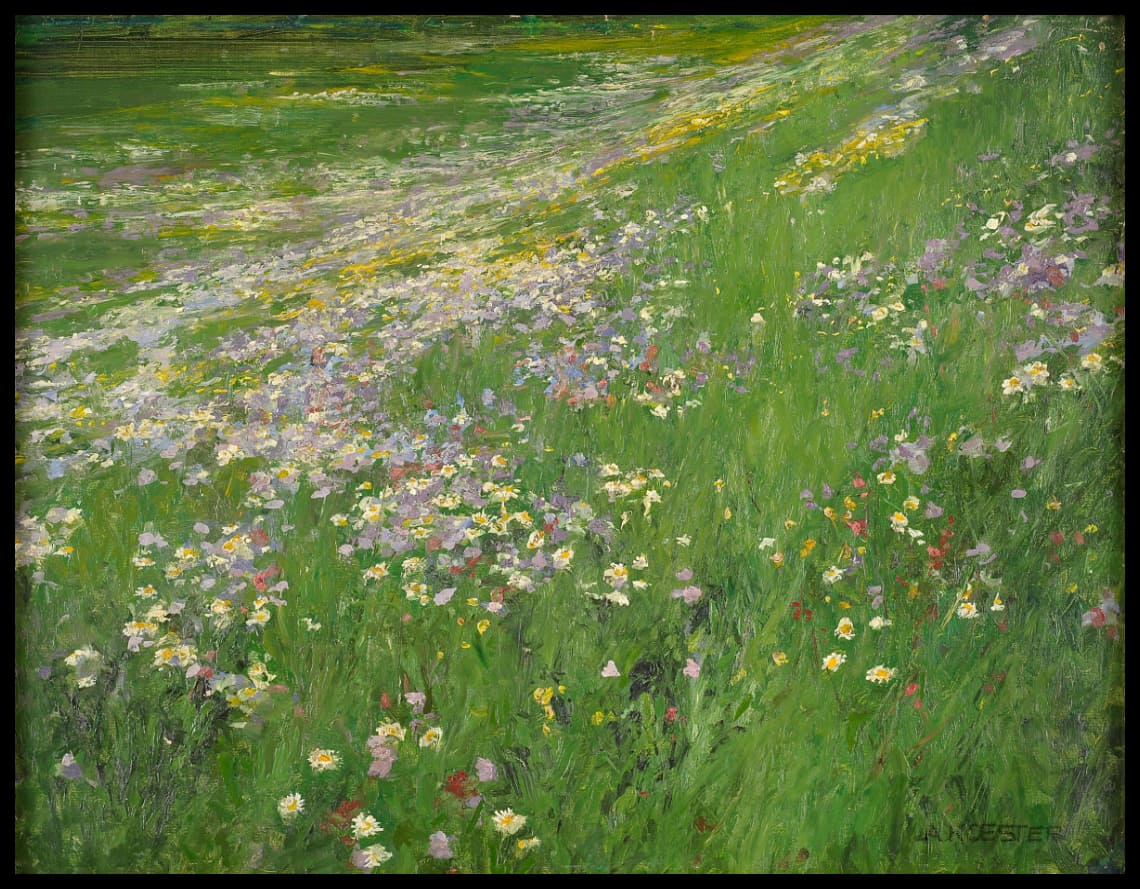Flower meadow near Weßling