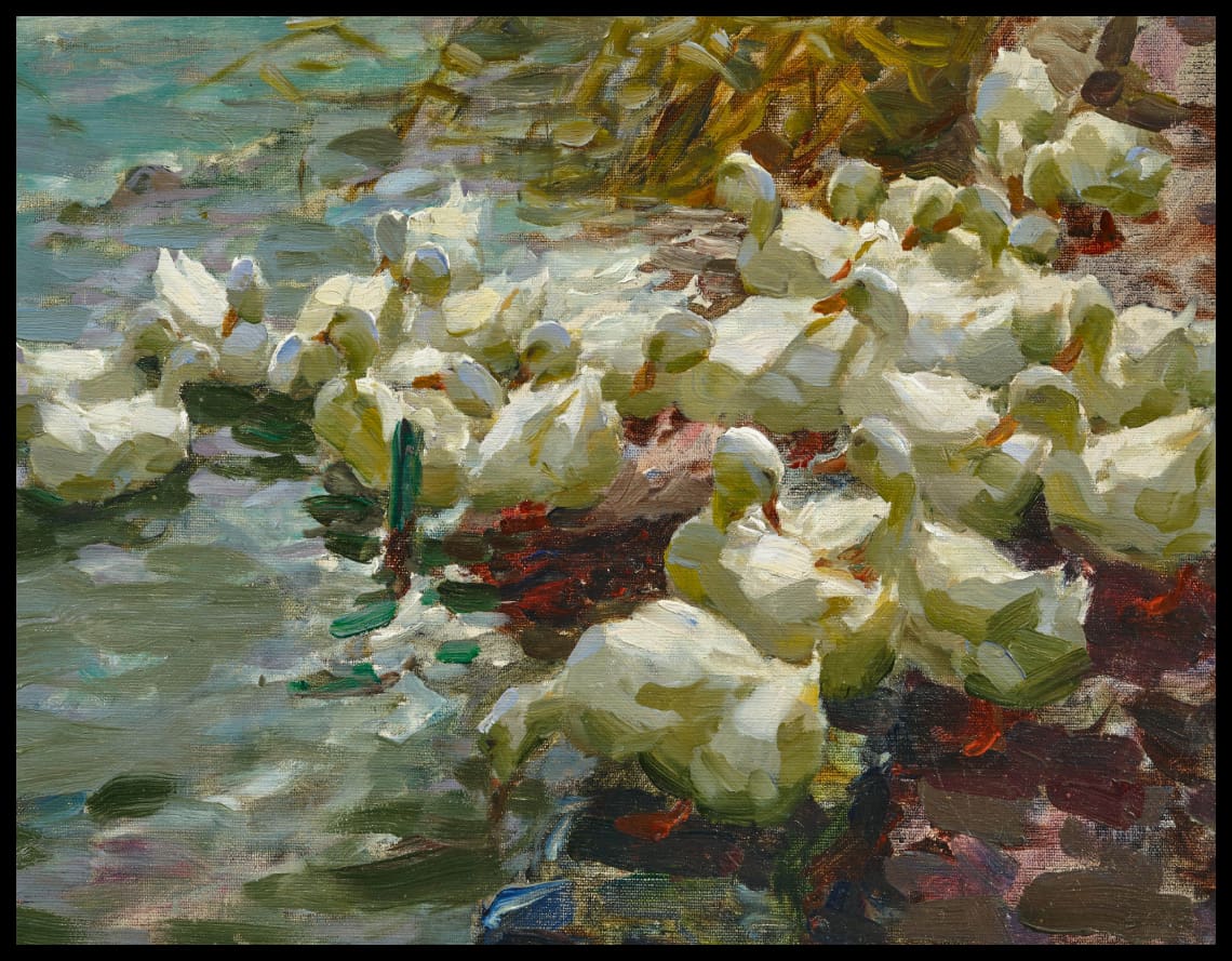 Twenty-one white ducks in the water