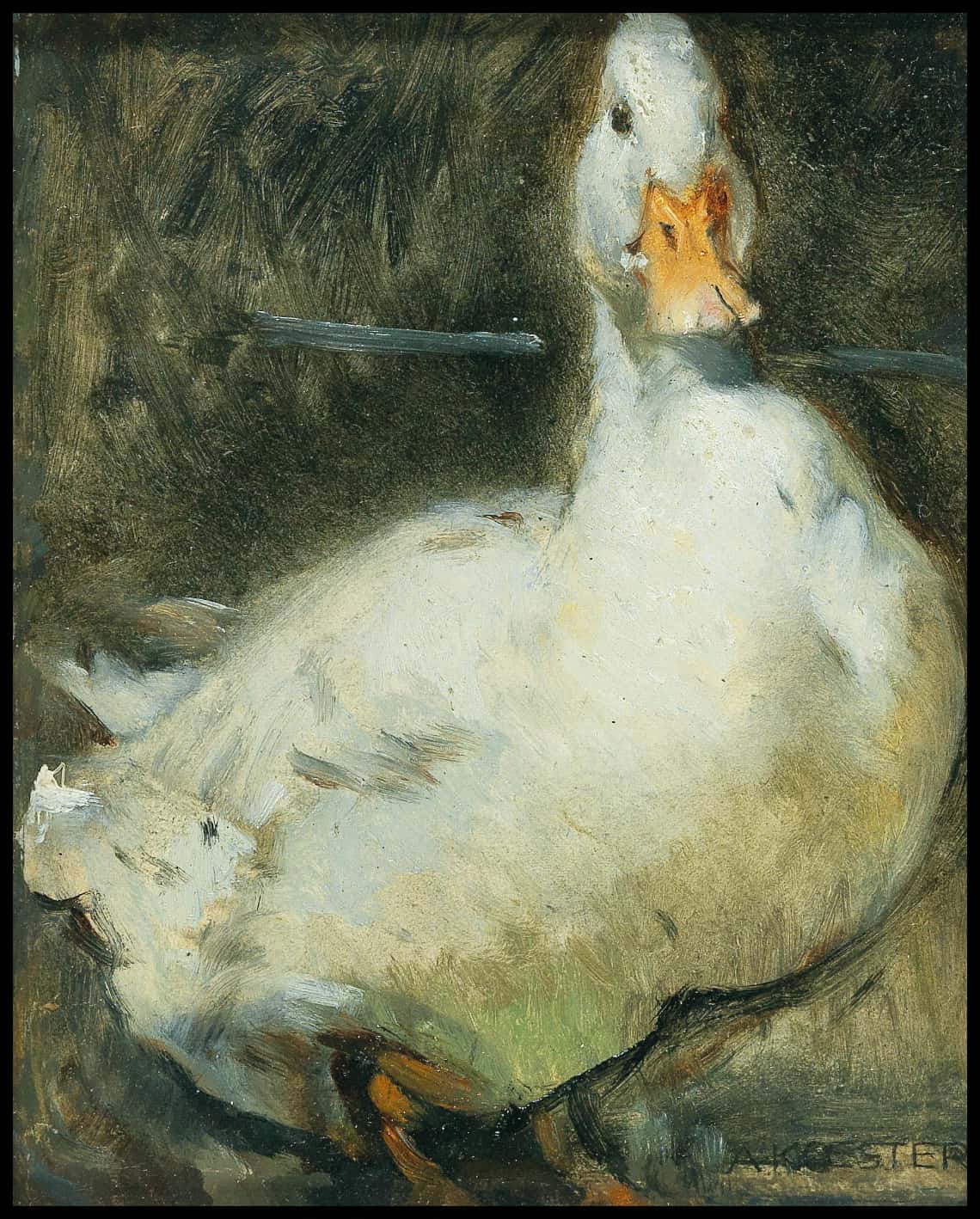 Duck