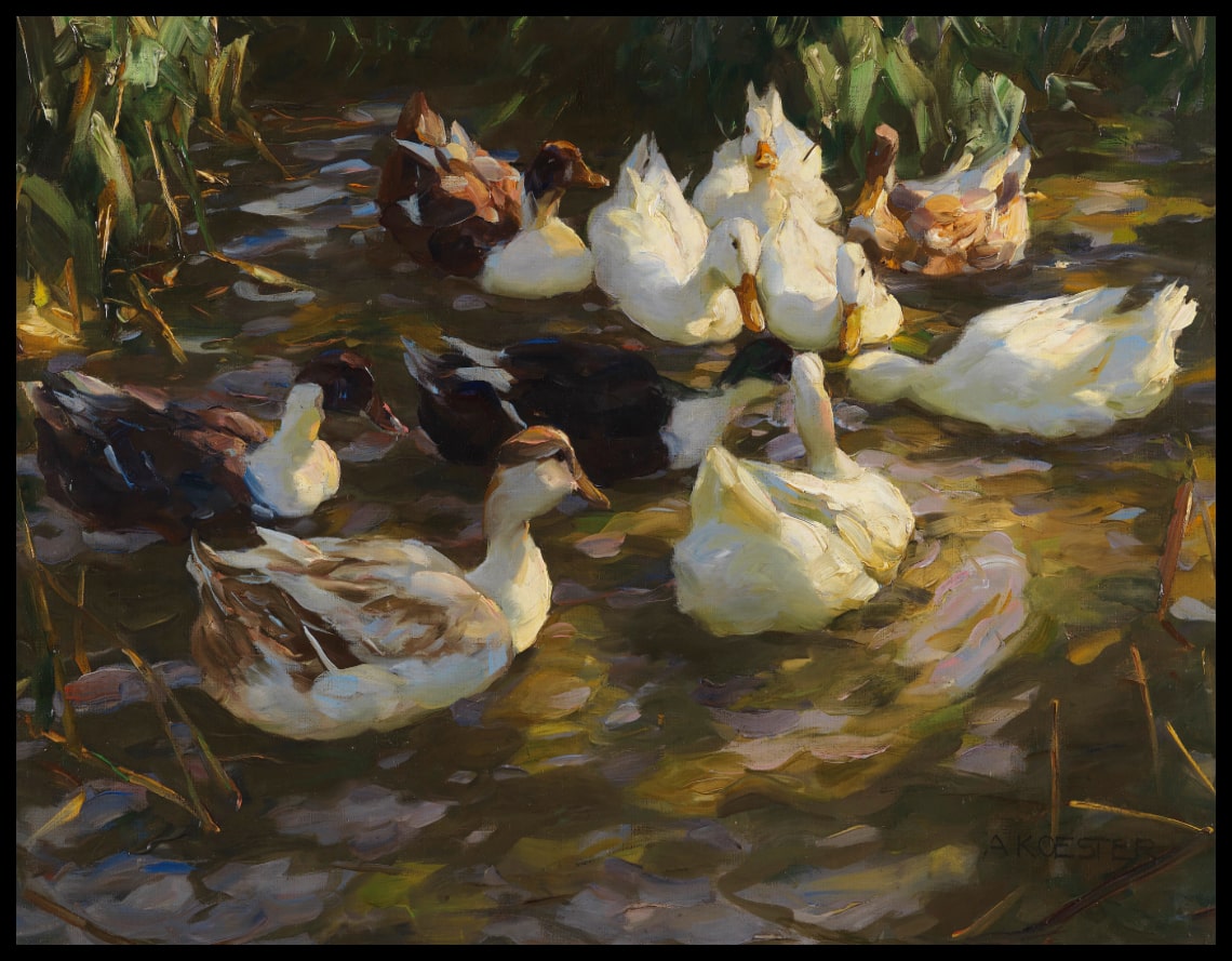 Ducks by the stream