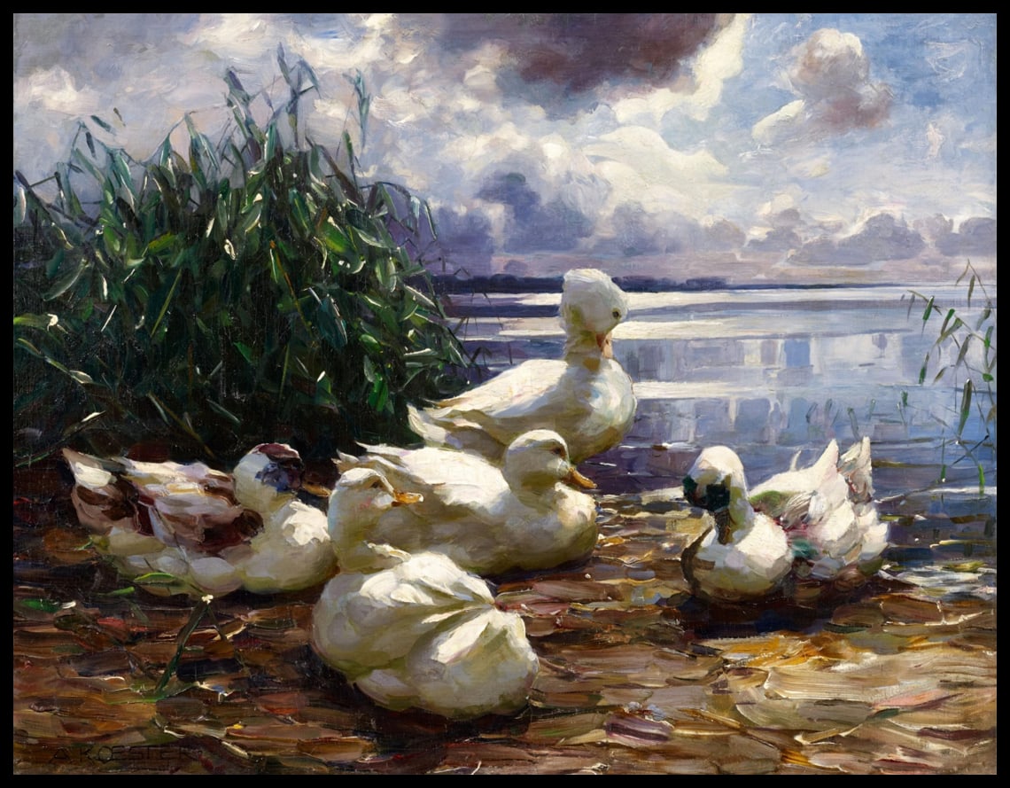 Ducks on the lakeshore