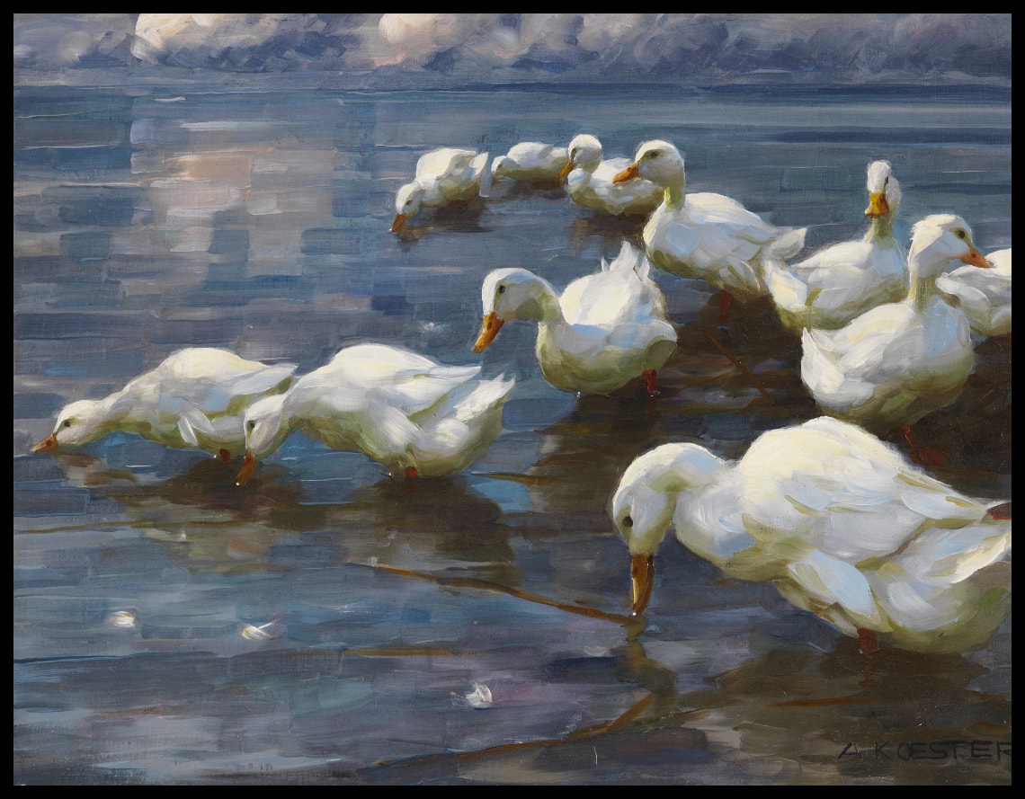 Ducks on the lakeshore