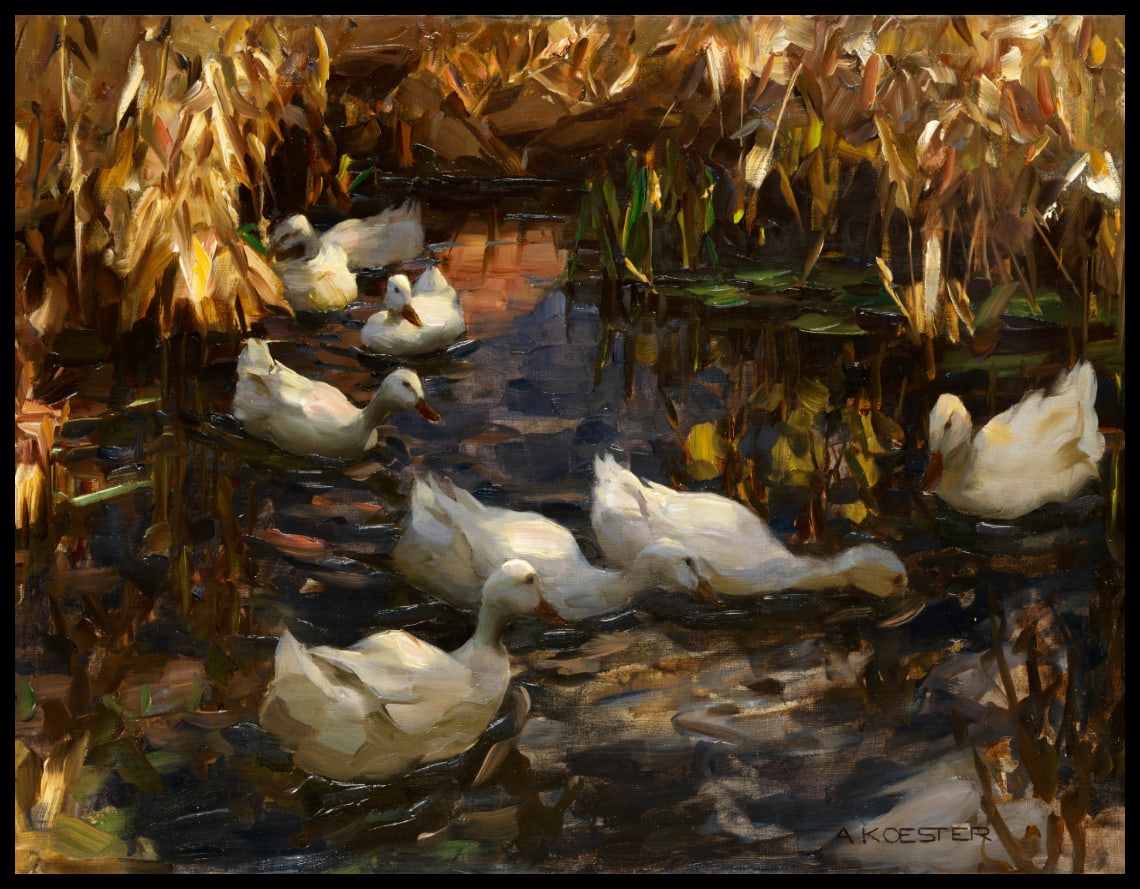 Ducks on the pond shore