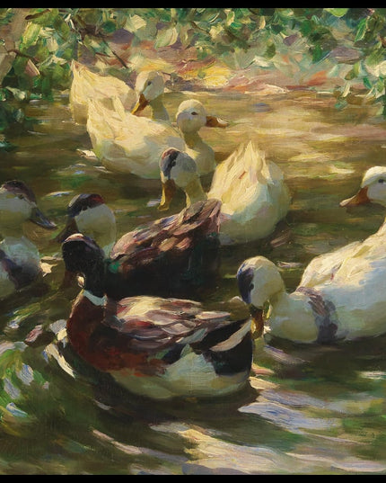 Enten auf einem Teich