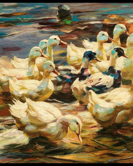 Enten aus dem Wasser gehend 2