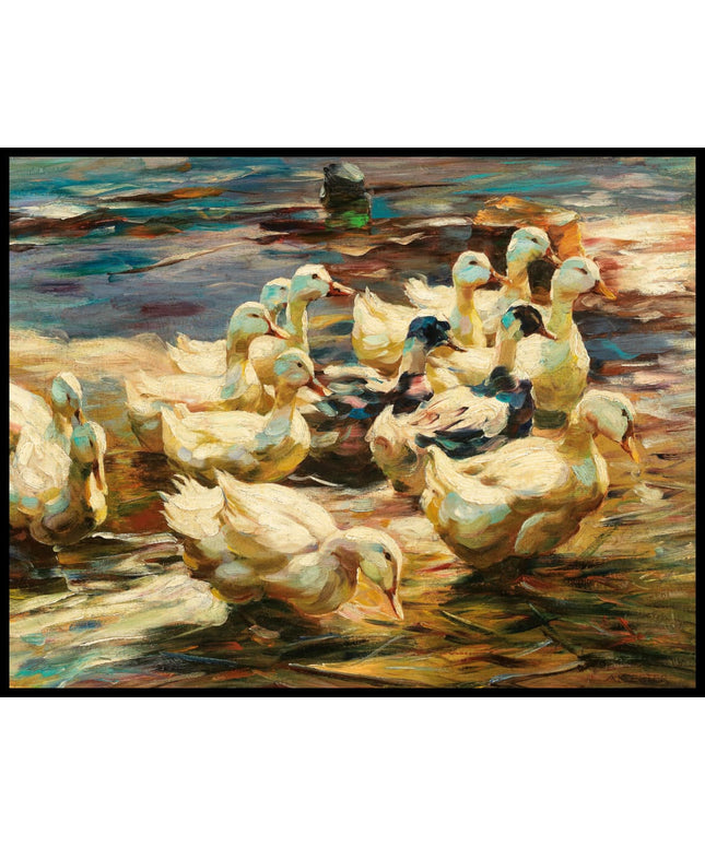 Enten aus dem Wasser gehend 2