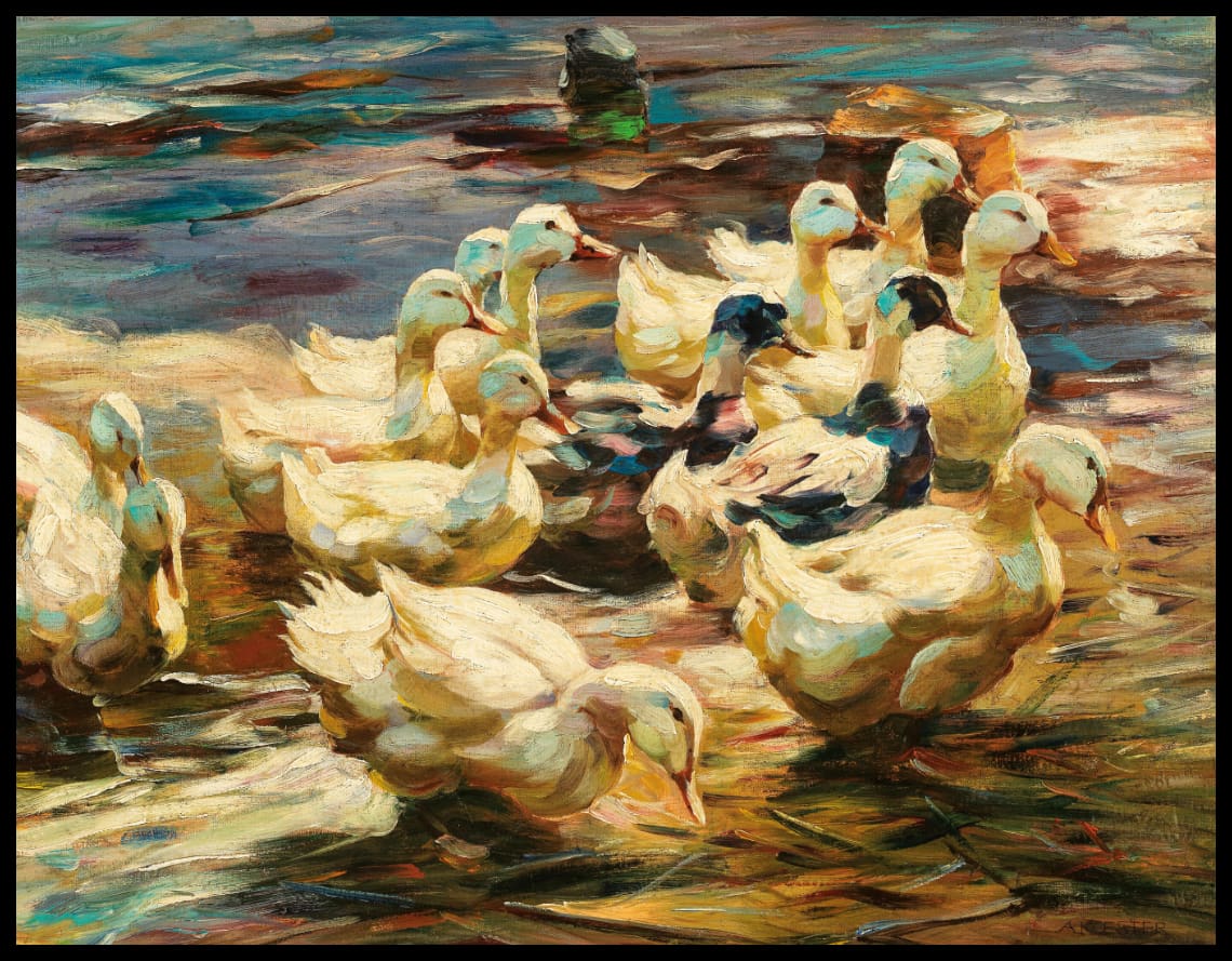 Ducks walking out of the water 2