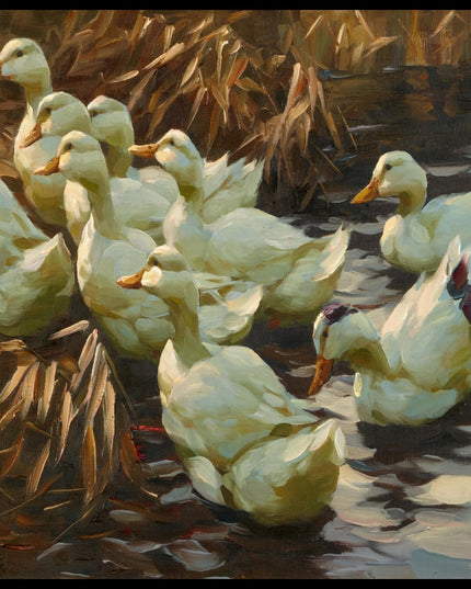 Enten aus dem Wasser gehend