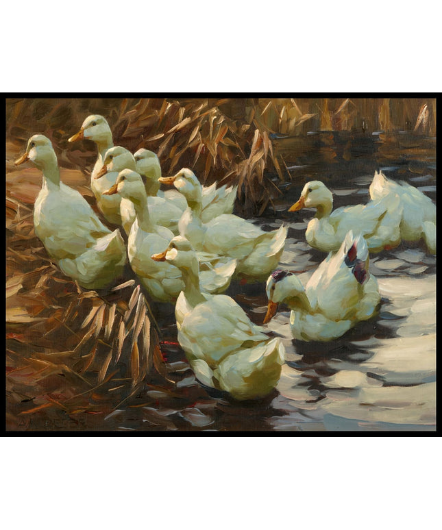 Enten aus dem Wasser gehend