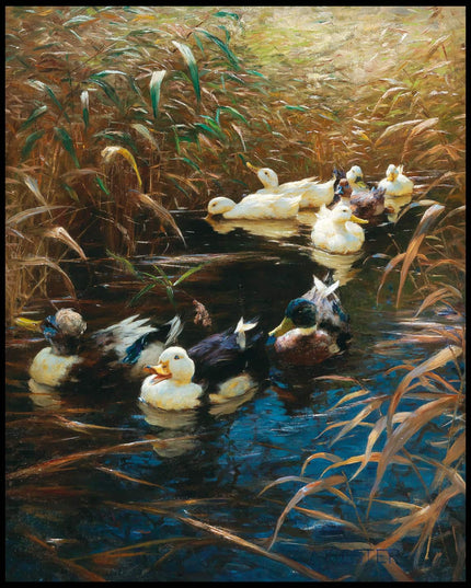 Enten im Herbstschilf