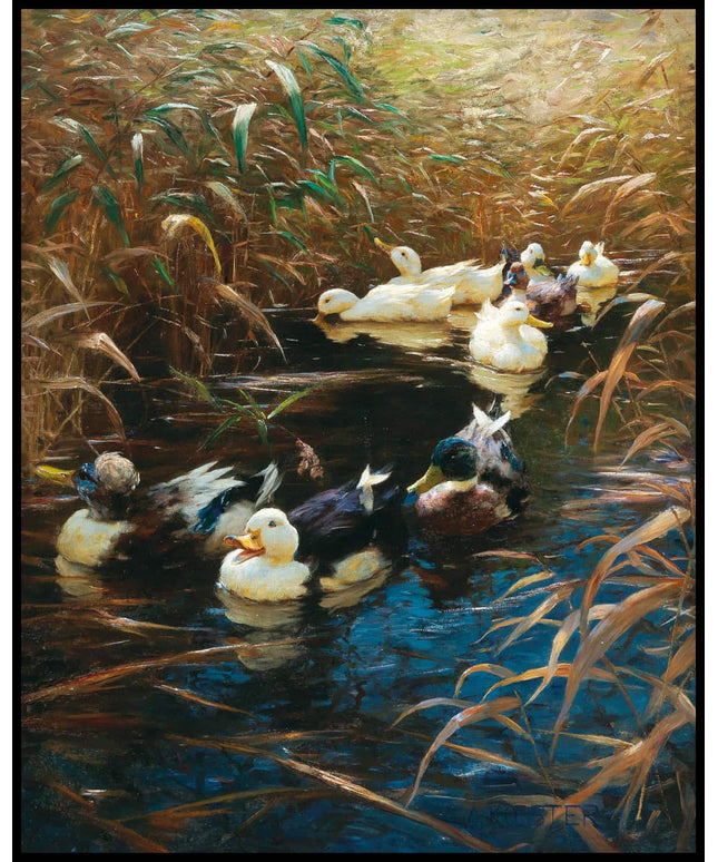 Enten im Herbstschilf