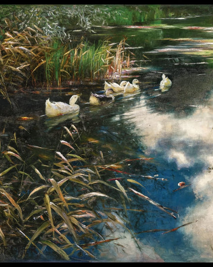 Enten im Schilfwasser