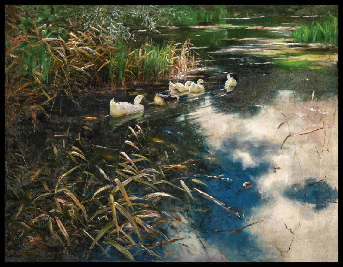 Ducks in the reeds