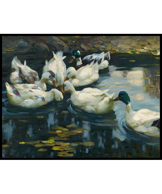 Enten im Seerosenteich nahe dem steinigen Ufer