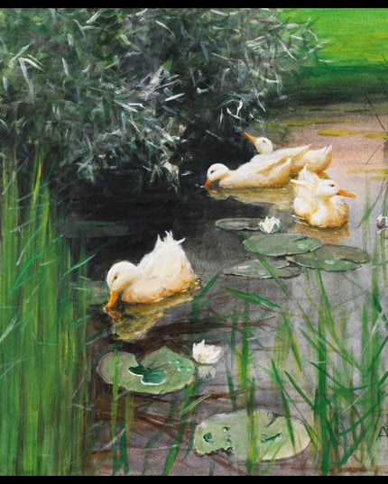 Enten im Seerosenteich