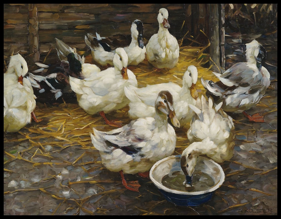 Ducks in the straw