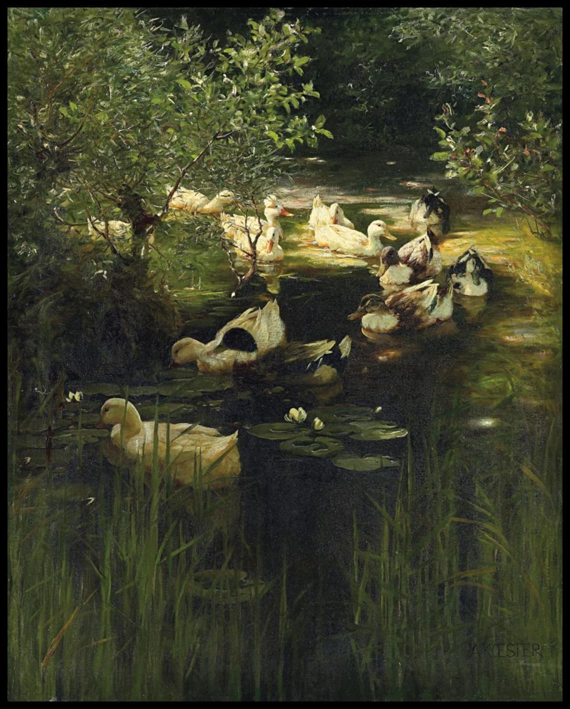 Ducks in the pond 2