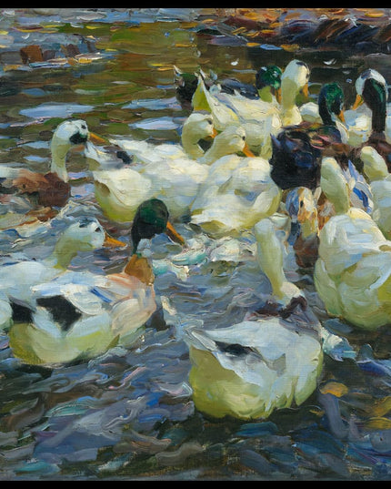 Enten in Abendstimmung