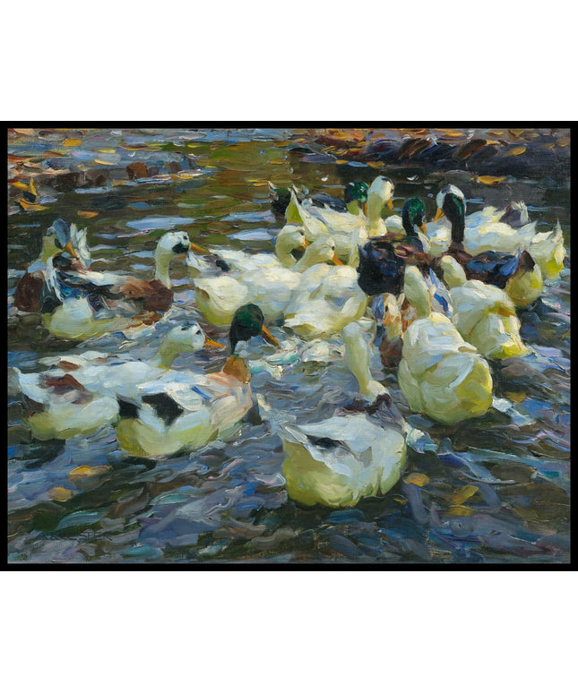 Enten in Abendstimmung