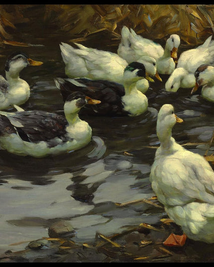 Enten in der Abendsonne