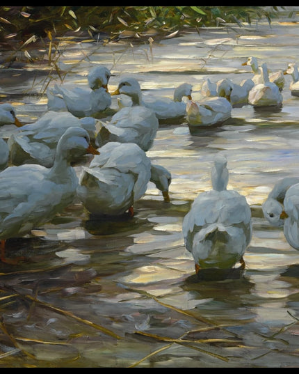 Enten in Flachem Schilfwasser