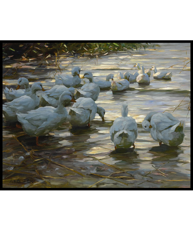 Enten in Flachem Schilfwasser