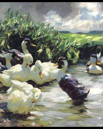 Enten in grünem Wasser