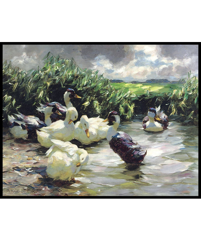 Enten in grünem Wasser