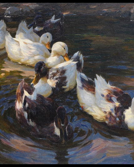 Enten in Morgensonne (Enten in blauem Wasser)