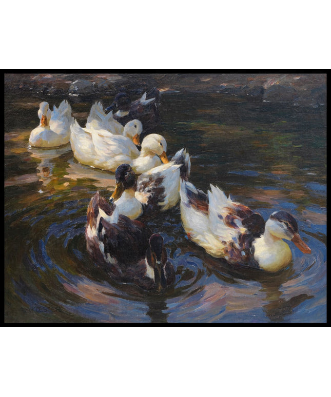 Enten in Morgensonne (Enten in blauem Wasser)