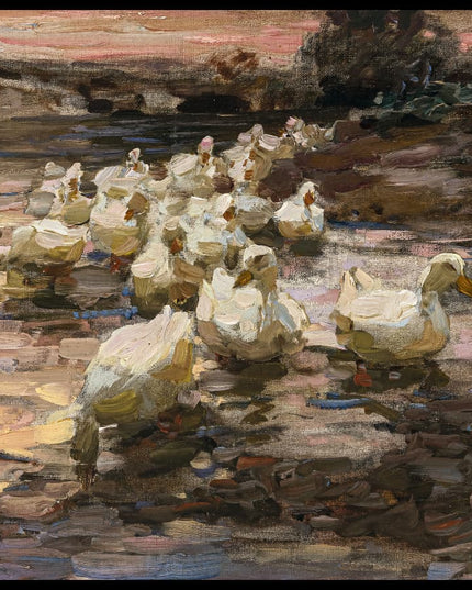 Enten in See gehend, Abendrot