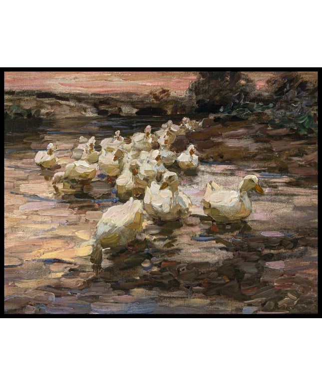 Enten in See gehend, Abendrot